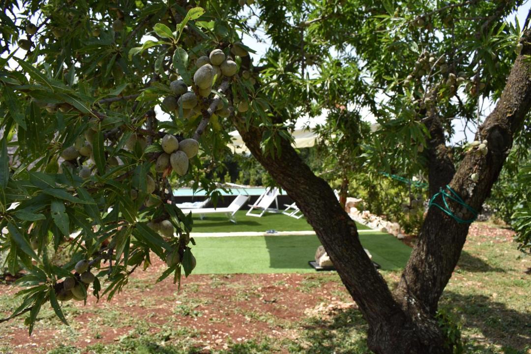 Photo of Outdoor in Casalini