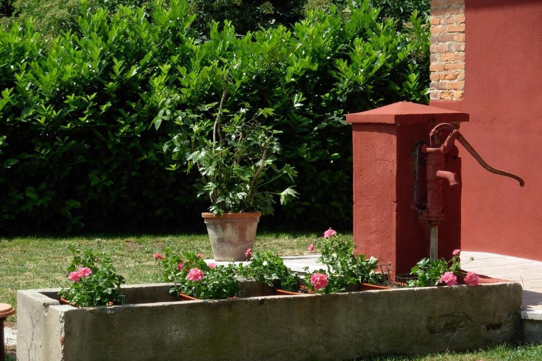 Photo of Others in Cossato