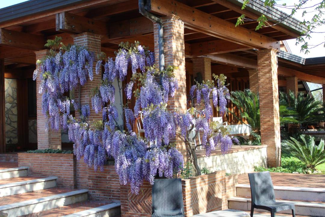 Photo of Others in Alatri
