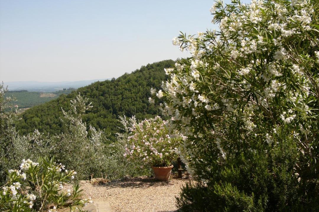 Photo of Outdoor in Figline e Incisa Valdarno