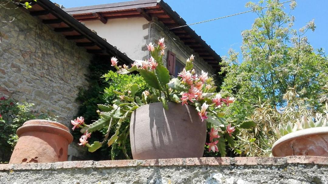 Photo of Others in Figline e Incisa Valdarno