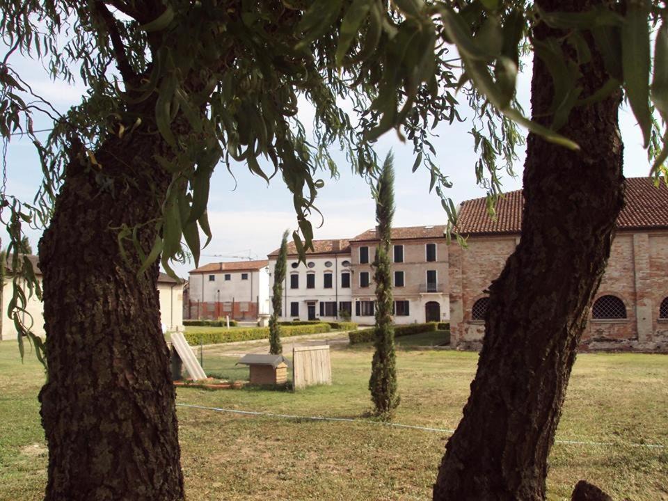 Photo of Buildings in Pegognaga
