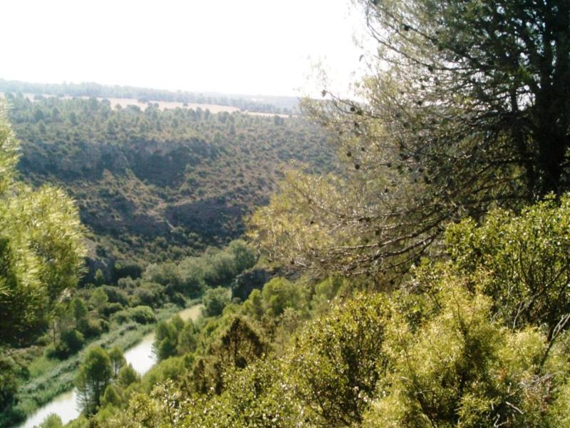Photo of Others in Casas de Benitez