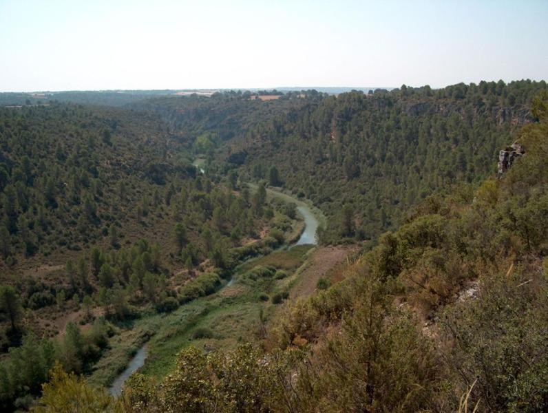 Photo of Others in Casas de Benitez