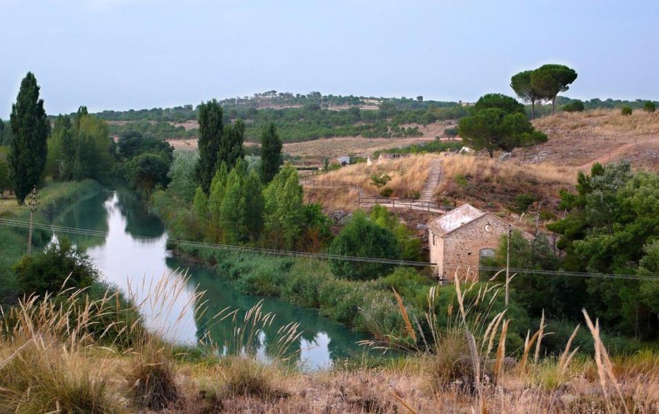Photo of Others in Casas de Benitez