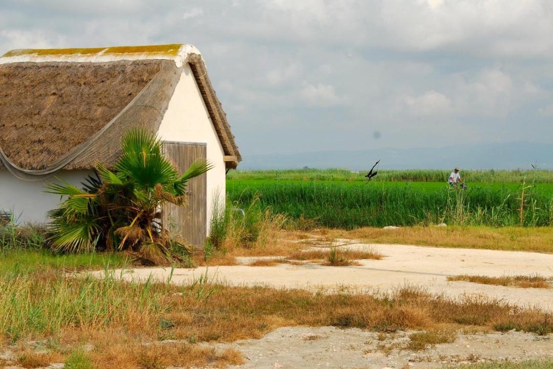 Photo of Others in L'Eucaliptus