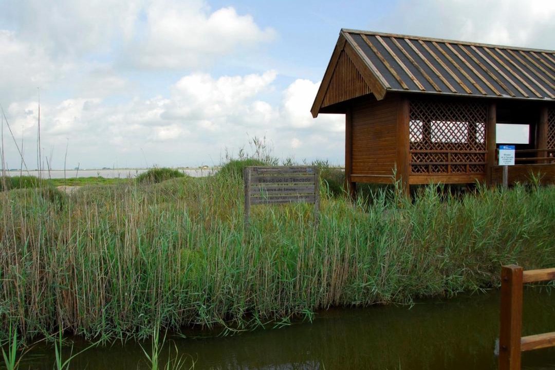 Photo of Others in L'Eucaliptus