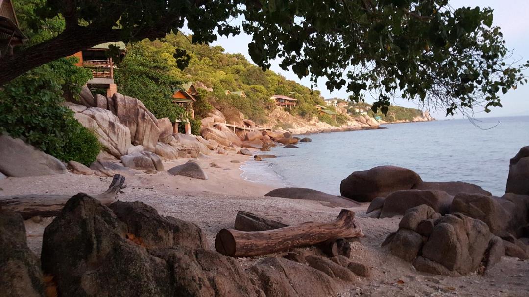 Photo of Others in Koh Tao