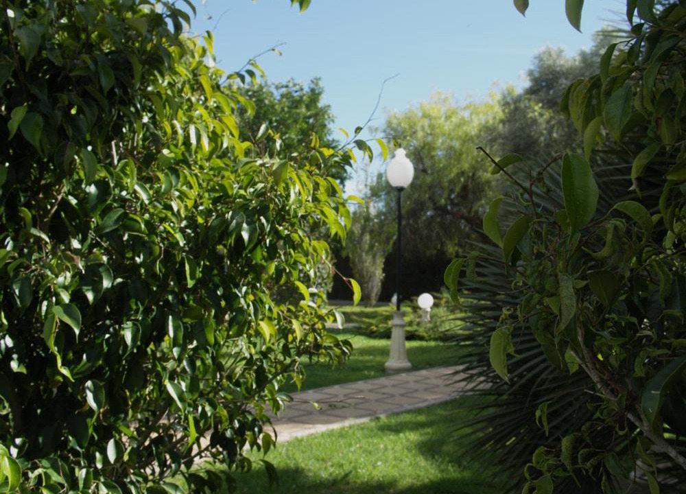 Photo of Others in Elche