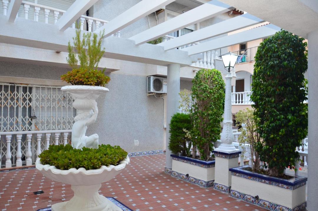 Photo of Buildings in Torrevieja