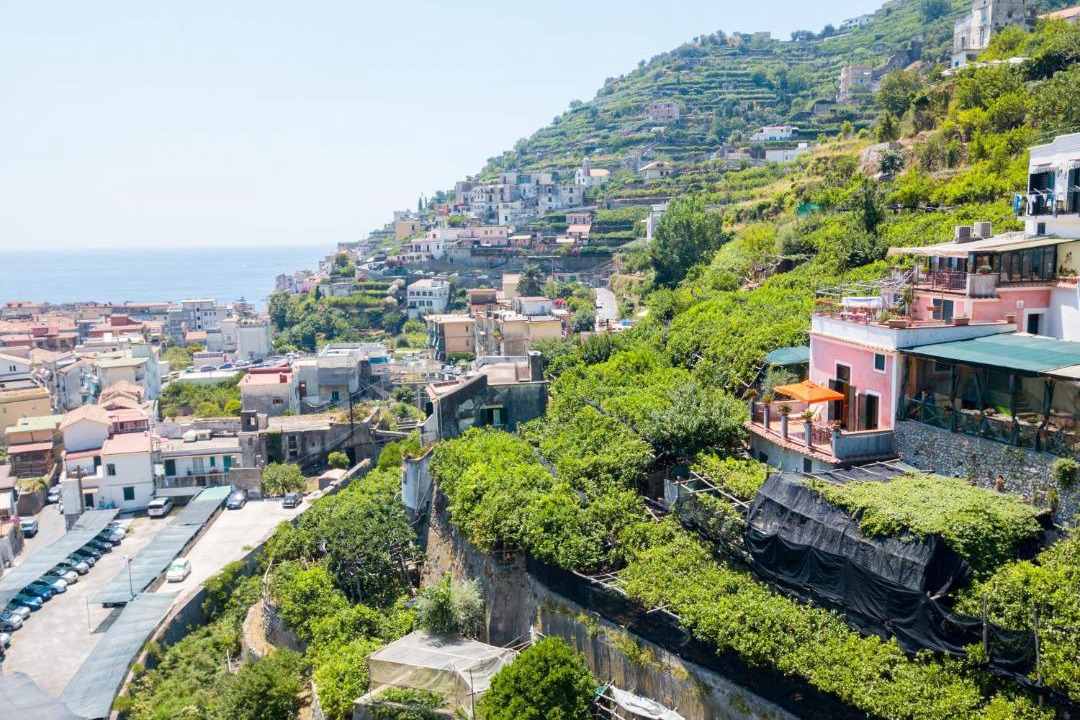 Photo of Others in Minori