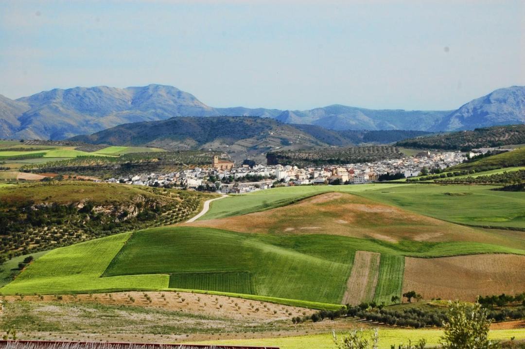 Photo of Others in Alhama de Granada