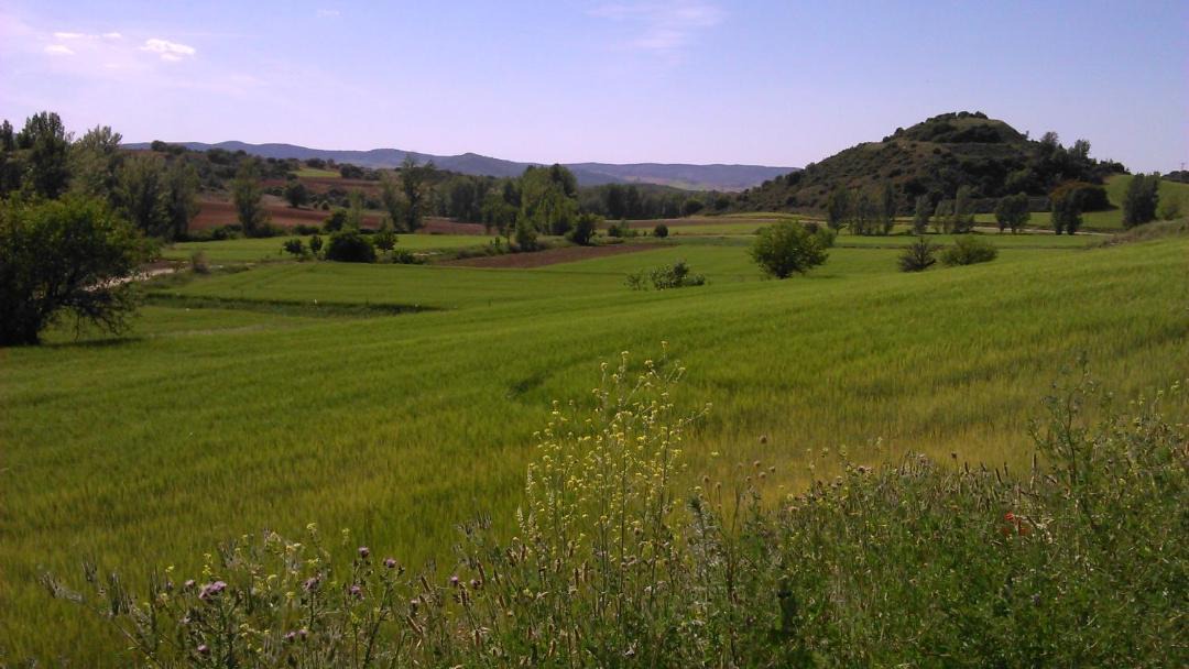 Photo of Others in Ribatajadilla