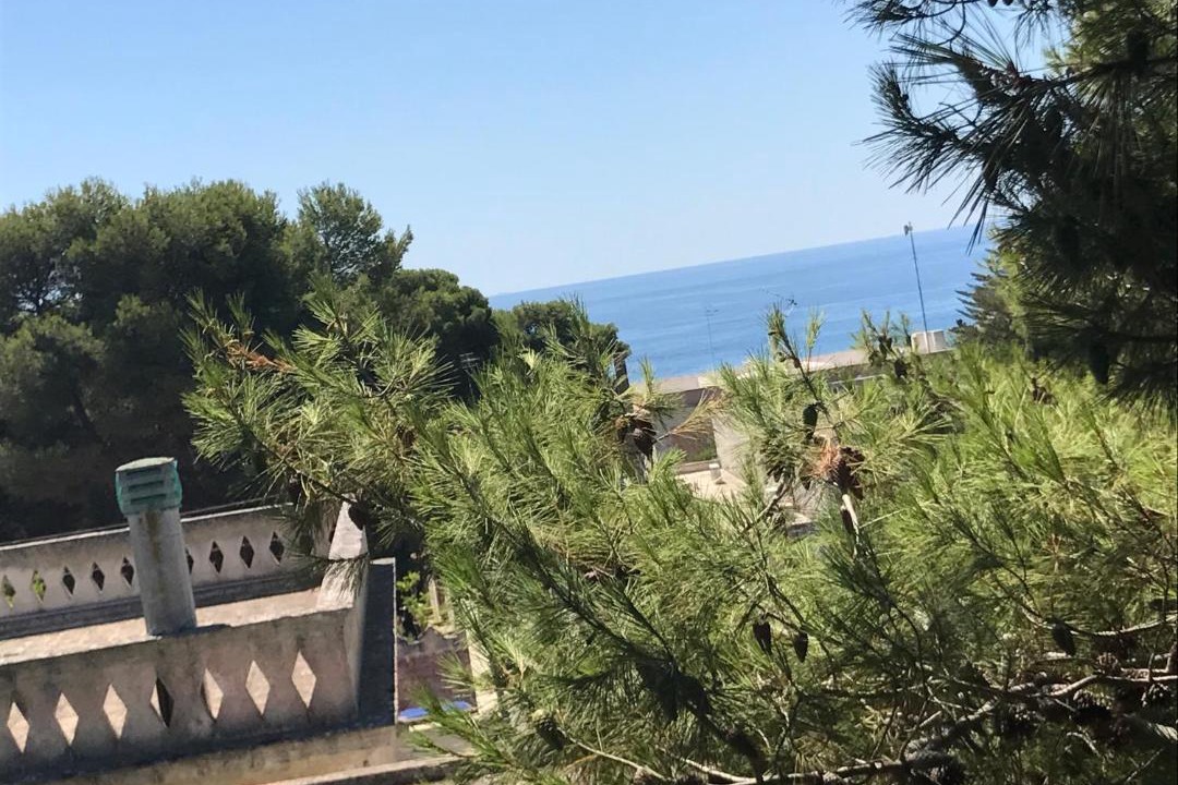 Photo of Others in Santa Maria di Leuca