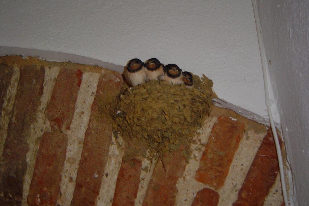 Photo of Others in Cazalla De La Sierra