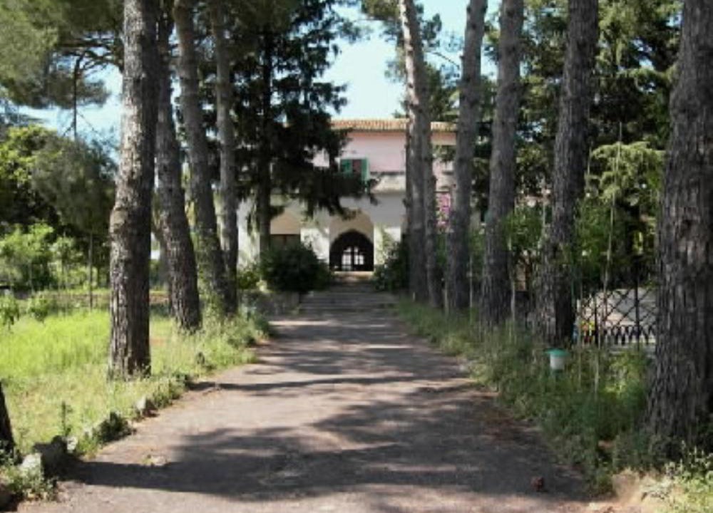 Photo of Buildings in Velletri