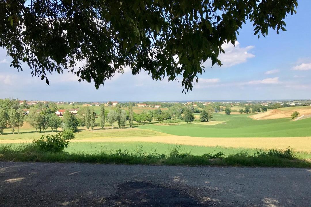 Photo of Others in Rosignano Monferrato