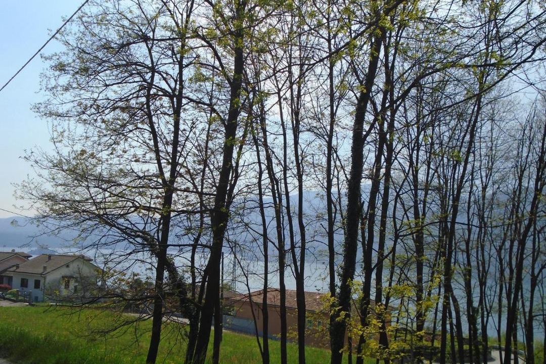 Photo of Others in Pettenasco