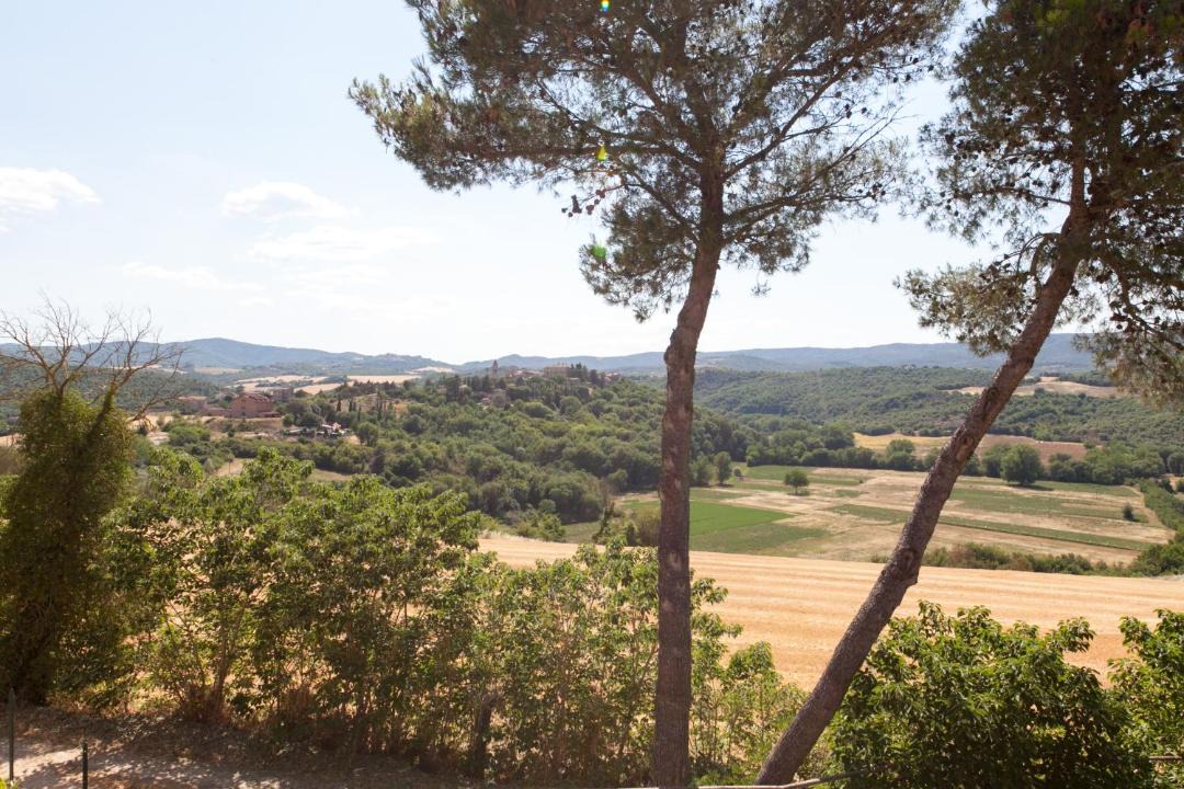 Photo of Others in Marsciano