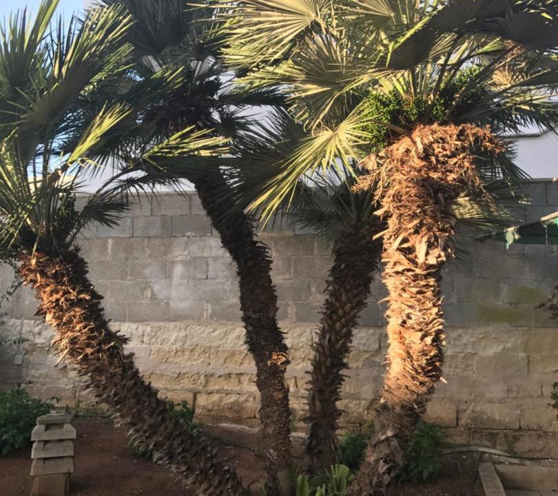 Photo of Outdoor in Santa Maria di Leuca