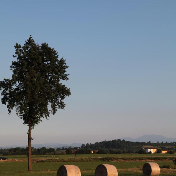 Photo of Outdoor in Bene Vagienna
