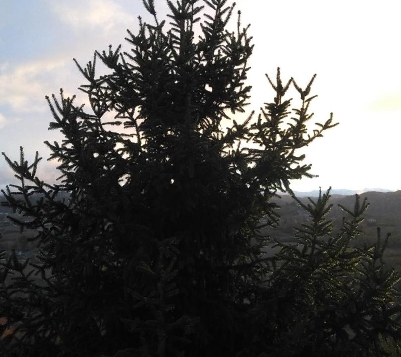 Photo of Outdoor in Zoalengo