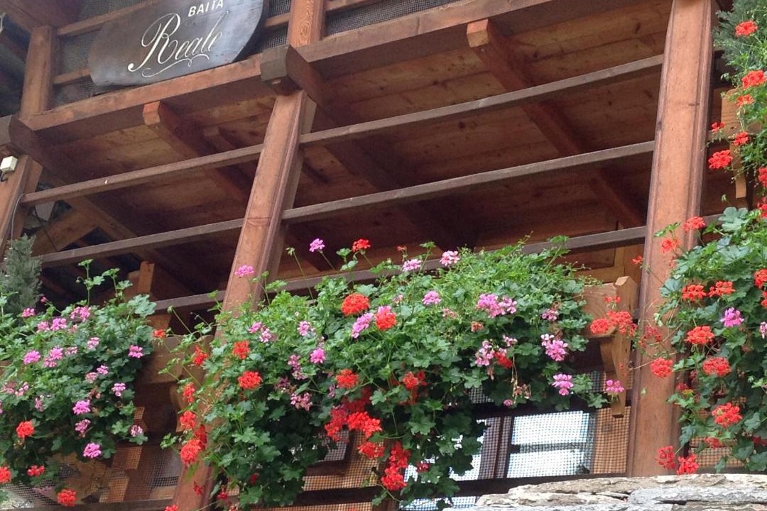 Photo of Others in Alagna Valsesia
