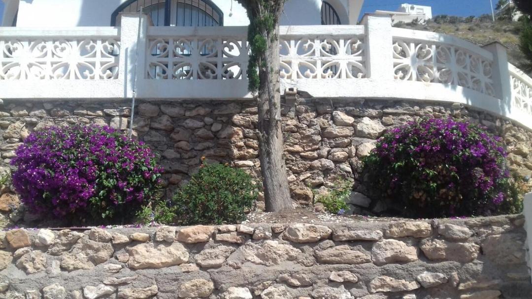 Photo of Others in Aguilas