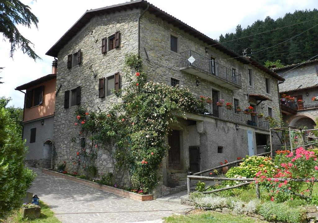 Photo of Others in Castiglione di Garfagnana