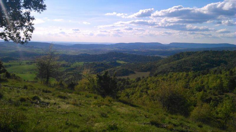 Photo of Outdoor in Ribatajadilla