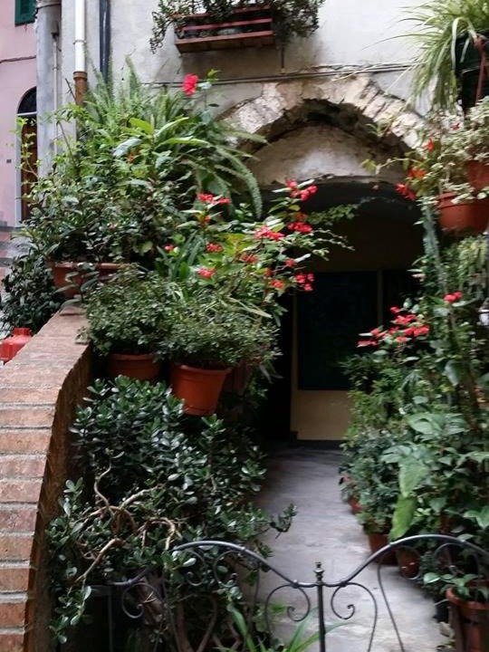 Photo of Buildings in Sanremo Old Town