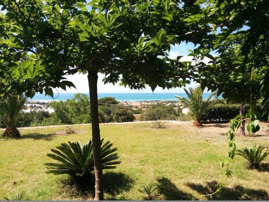 Photo of Outdoor in Scicli