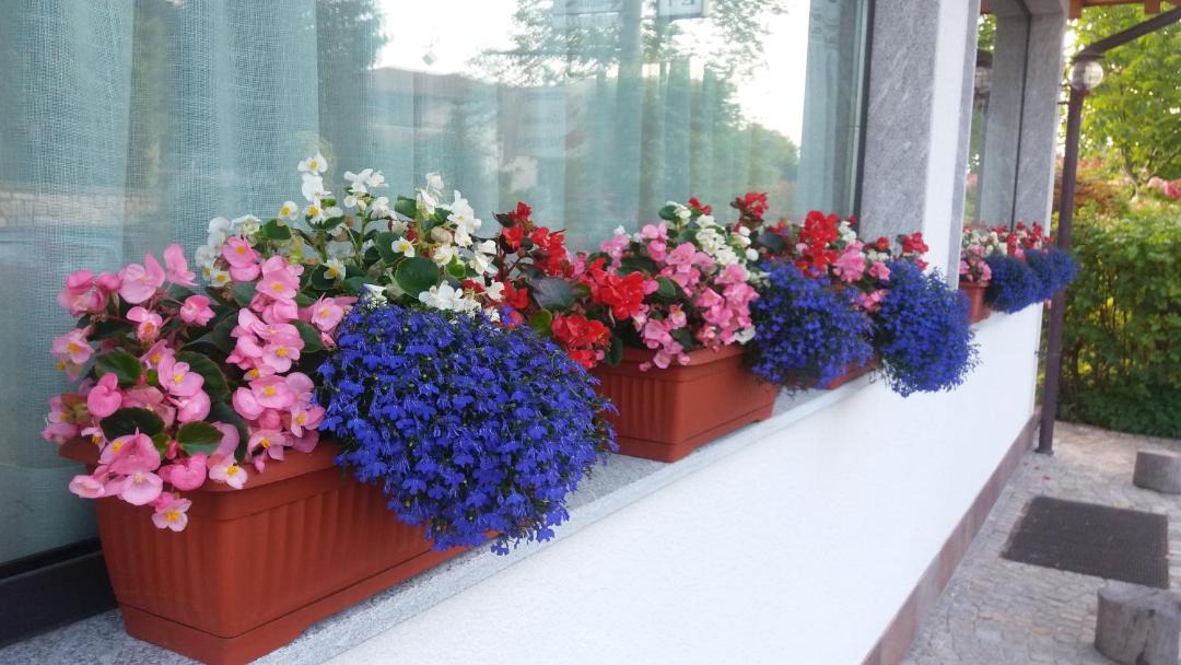 Photo of Patio Balcony in Gignese