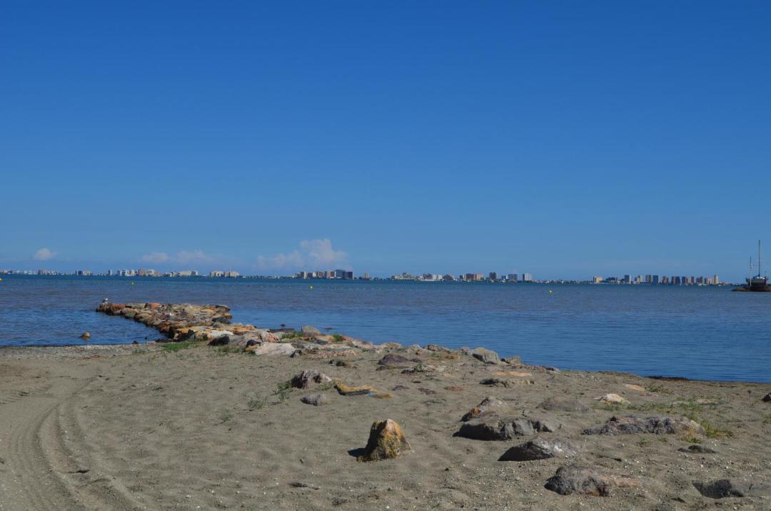 Photo of Outdoor in Los Nietos