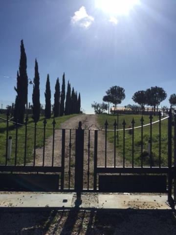 Photo of Others in Cerveteri