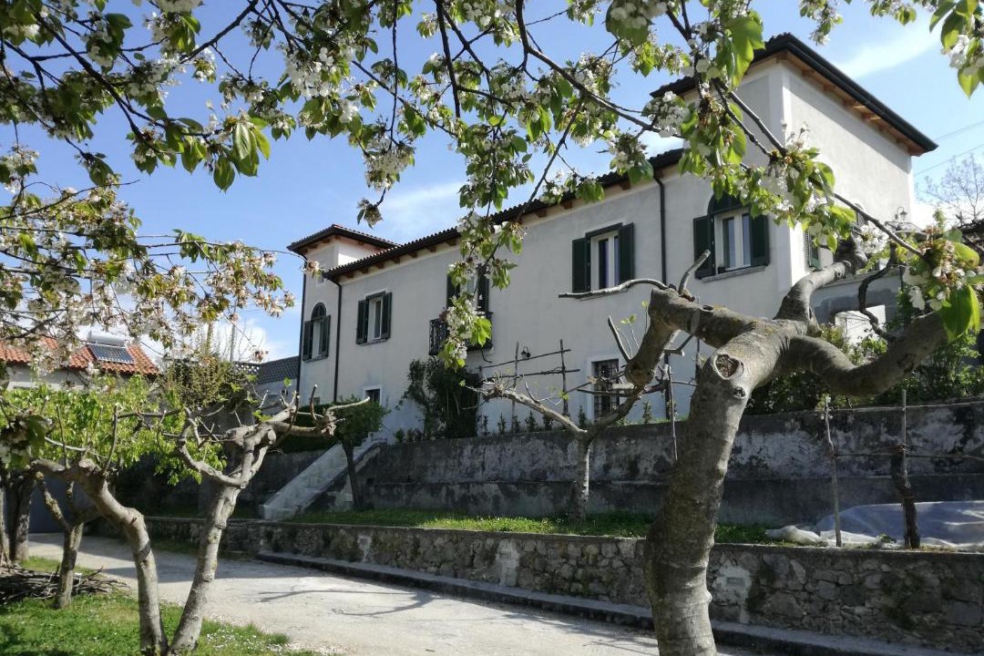 Photo of Others in Mormanno