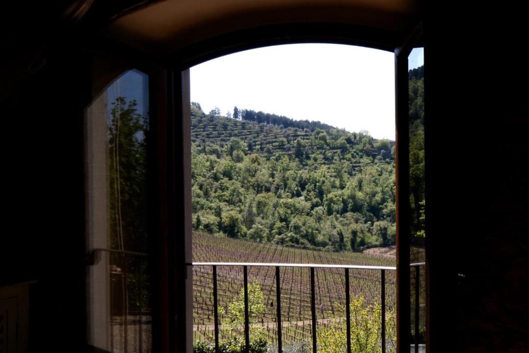 Photo of Others in Gaiole in Chianti