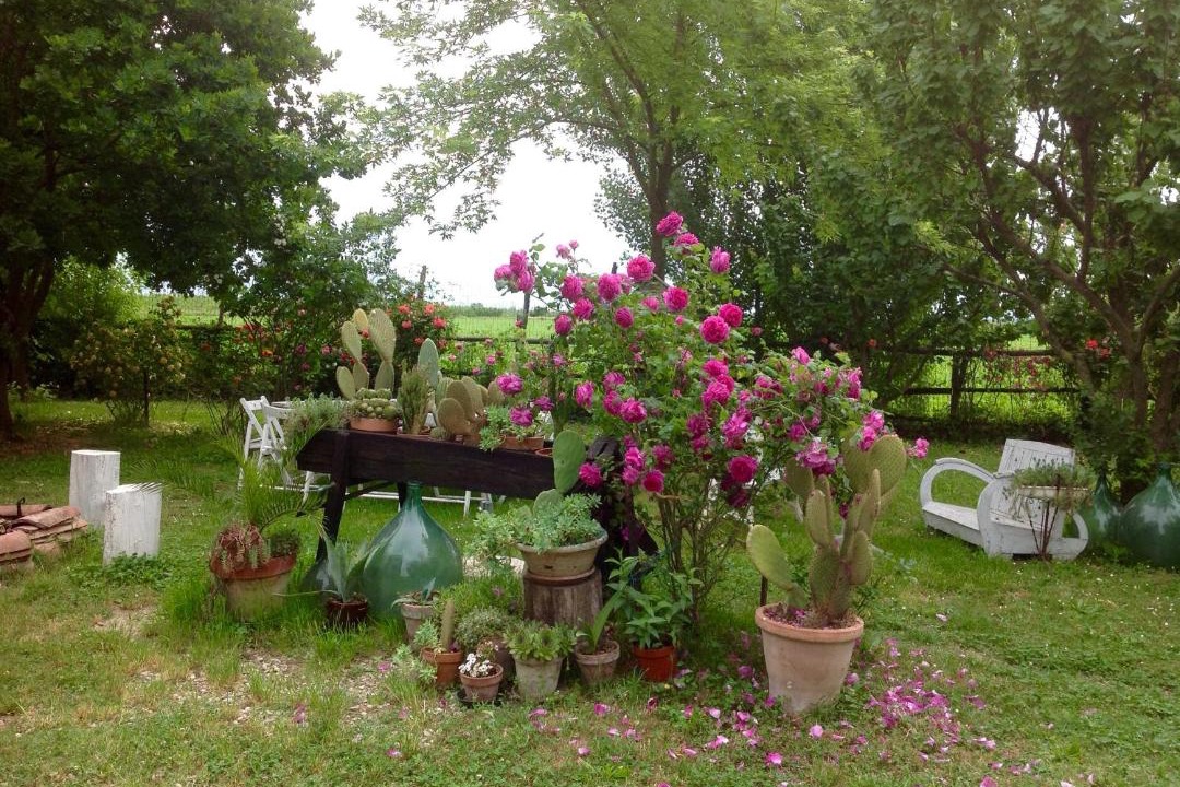 Photo of Others in Castelfranco Emilia