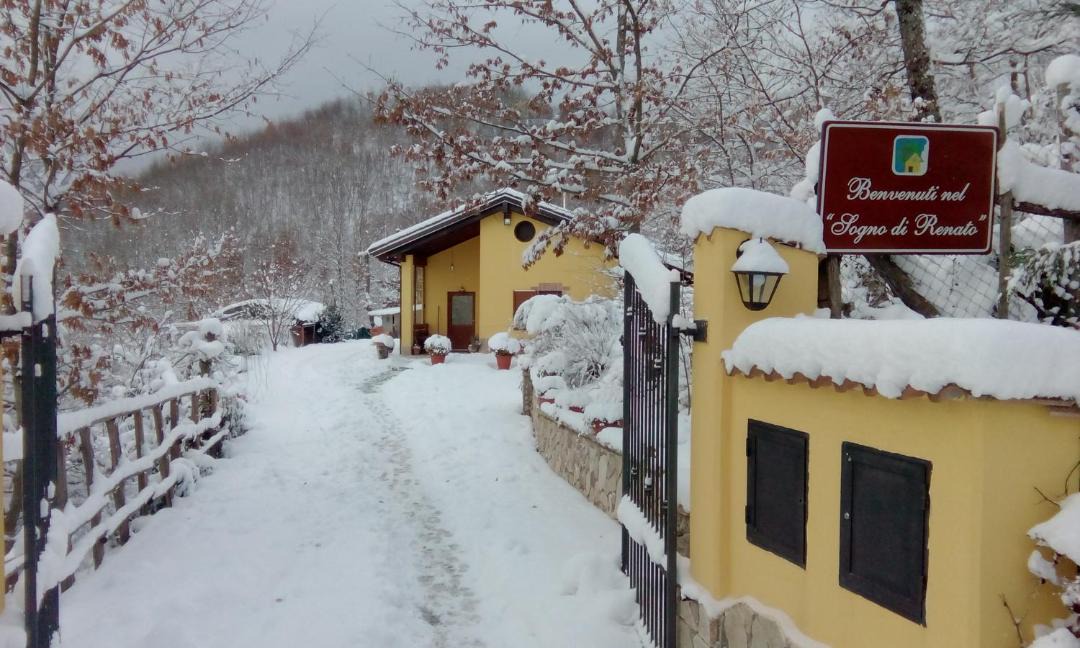 Photo of Others in Pignola