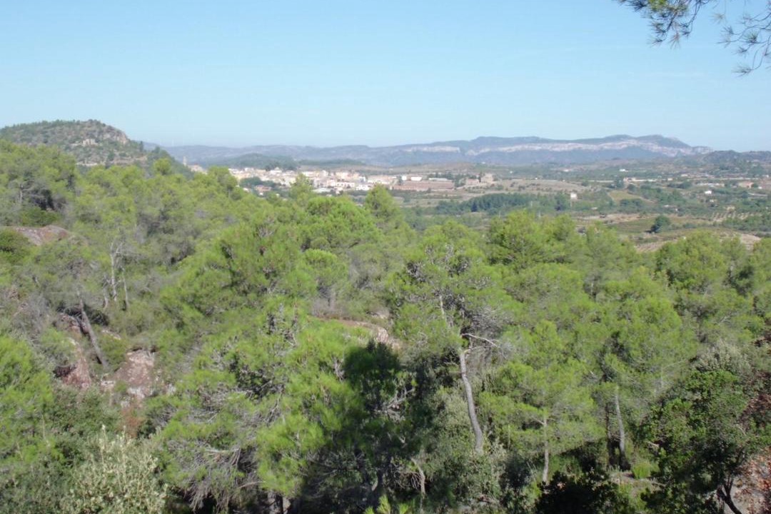 Photo of Outdoor in Marca