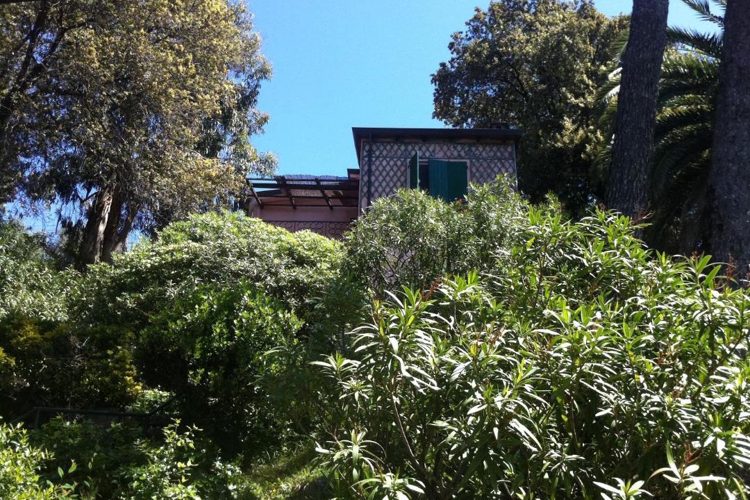Photo of Others in Tellaro