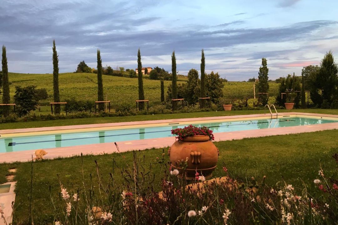 Photo of Others in Nizza Monferrato