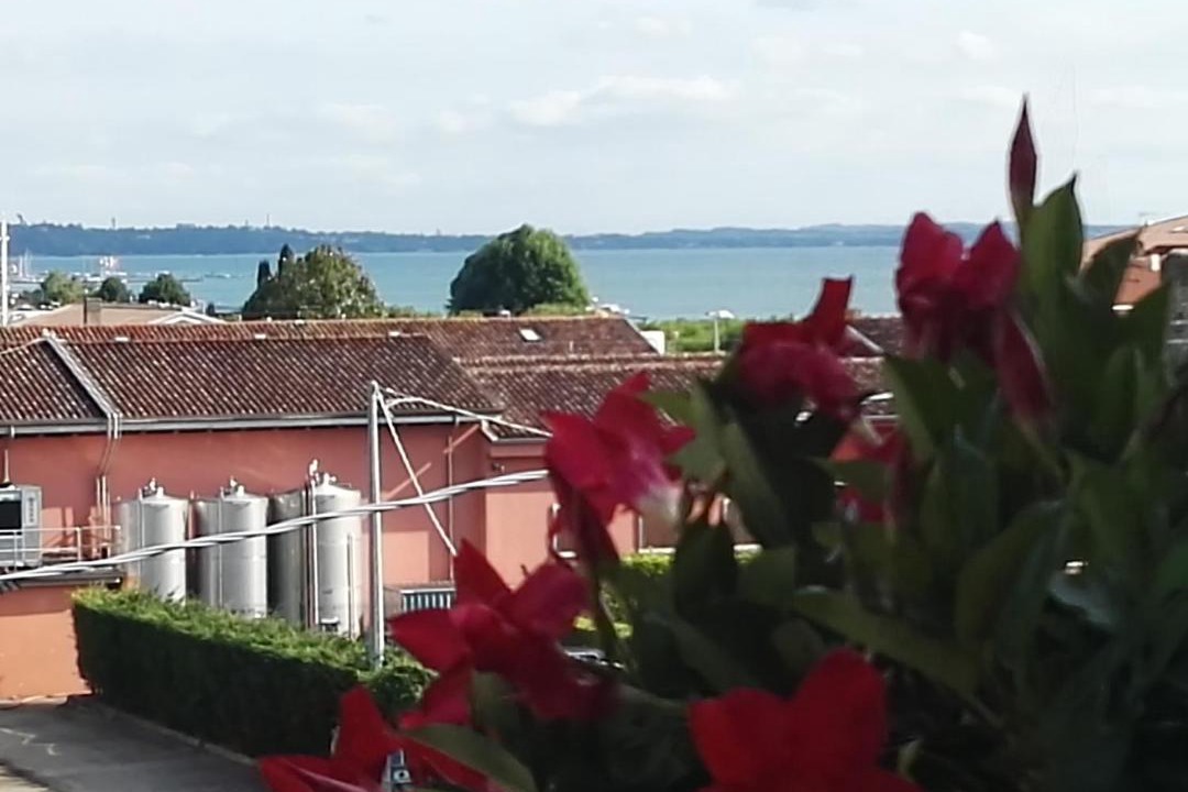 Photo of Others in Bardolino