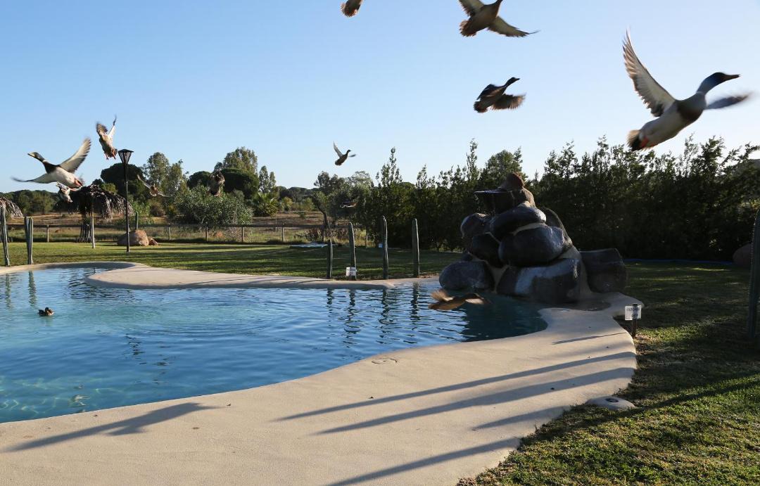 Photo of Others in Villamanrique de la Condesa