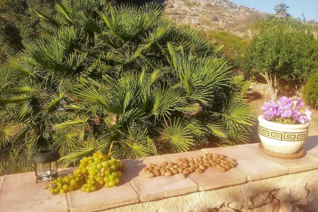 Photo of Others in Diputacion de Rincon de San Gines