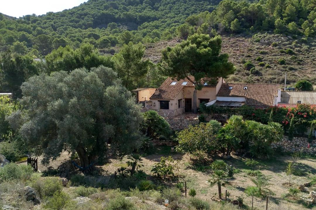 Photo of Outdoor in Diputacion de Rincon de San Gines
