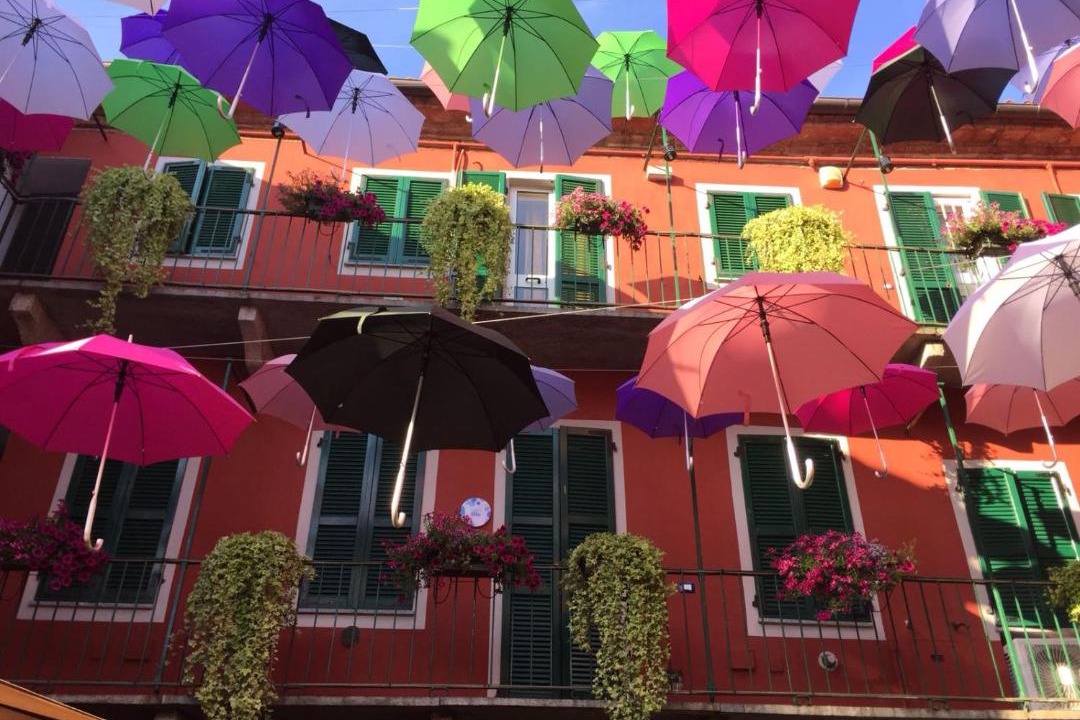 Photo of Others in Alessandria