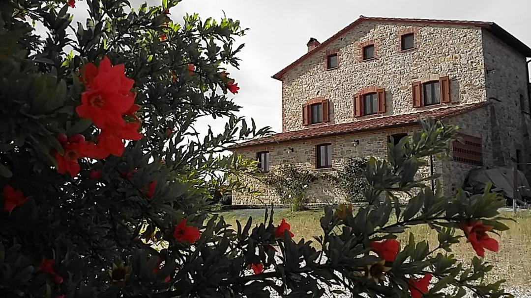 Photo of Buildings in Montegabbione