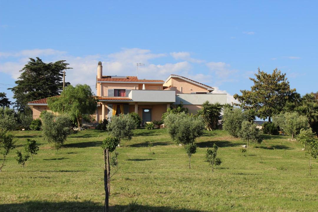 Photo of Others in Cerveteri