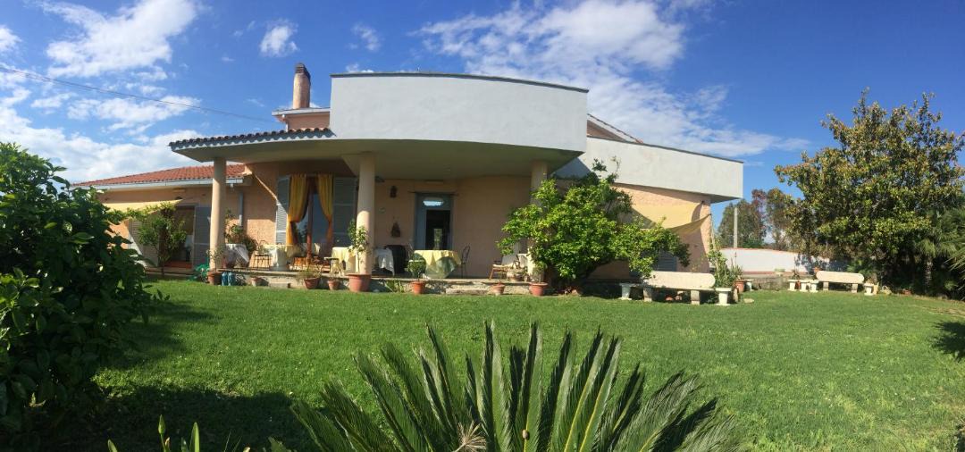 Photo of Others in Cerveteri